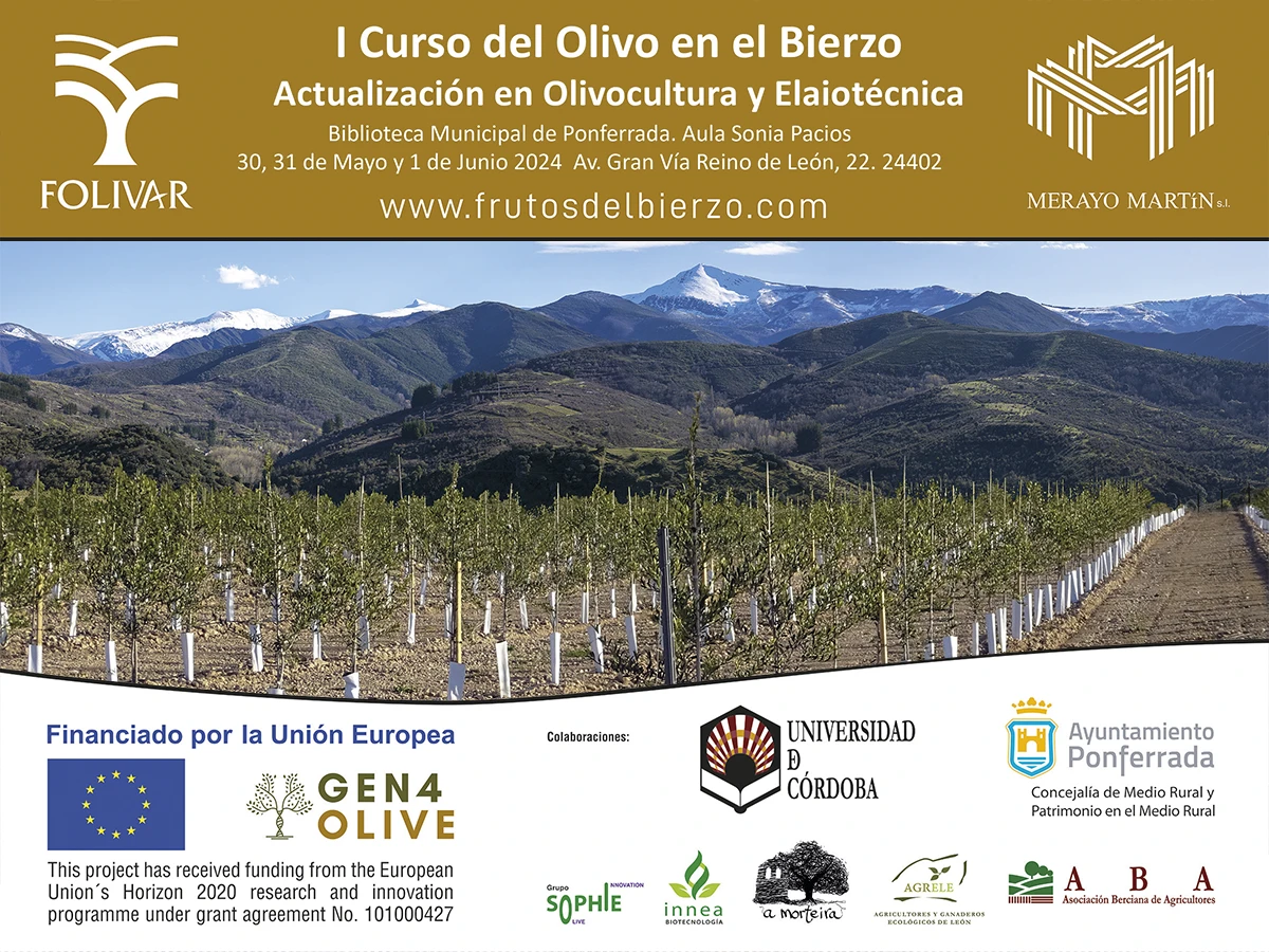 curso-olivos-bierzo-2024-poster-1200×900